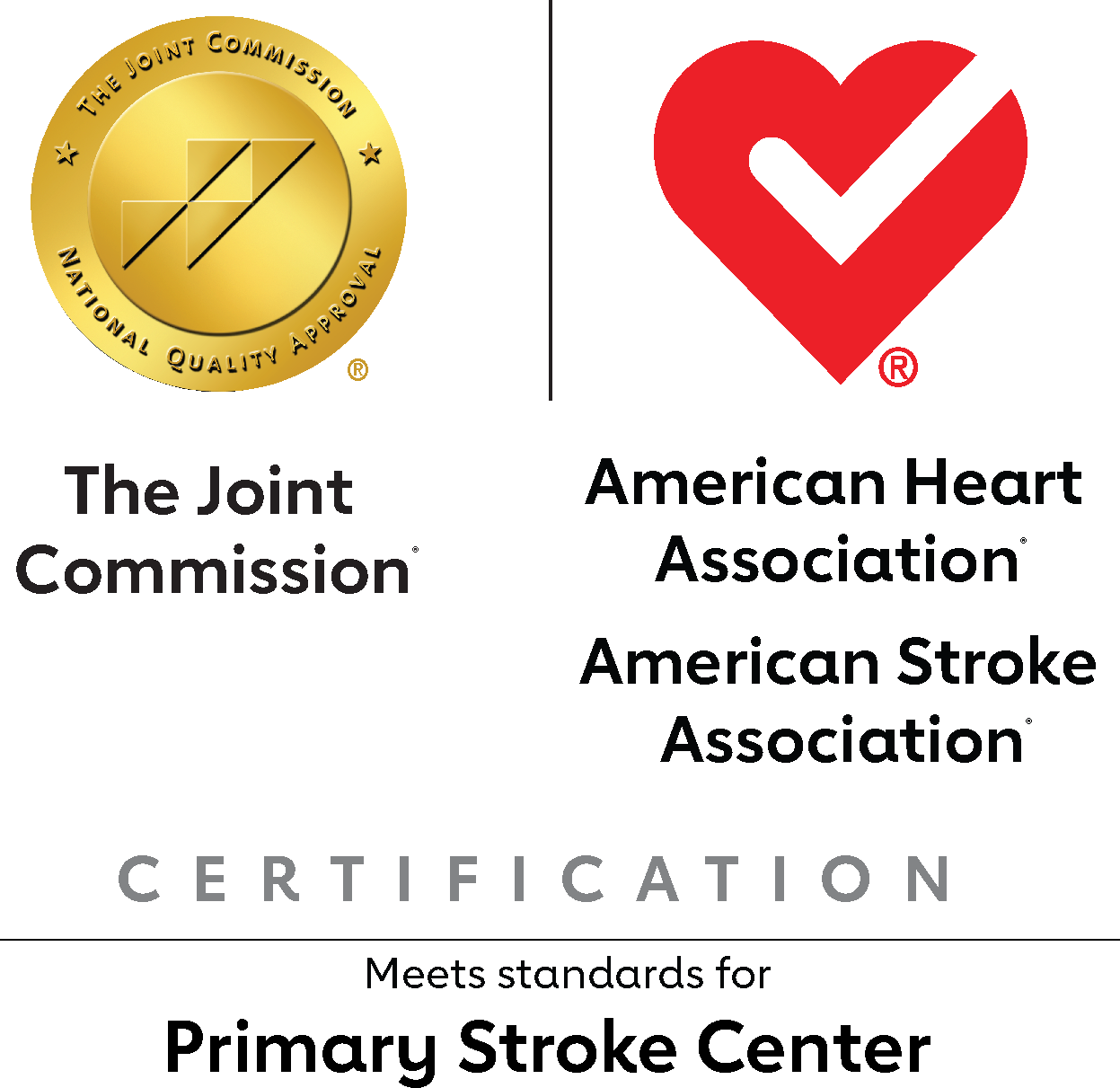 Joint Commission and AHA joint Primary Stroke Icon