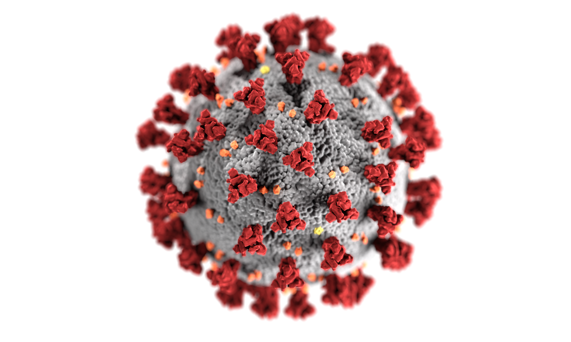 coronavirus