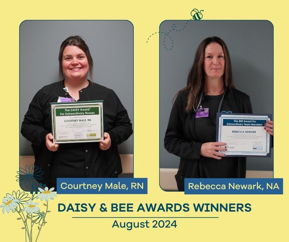 Illustrative image: Daisy and Bee Awards winners for August 2024