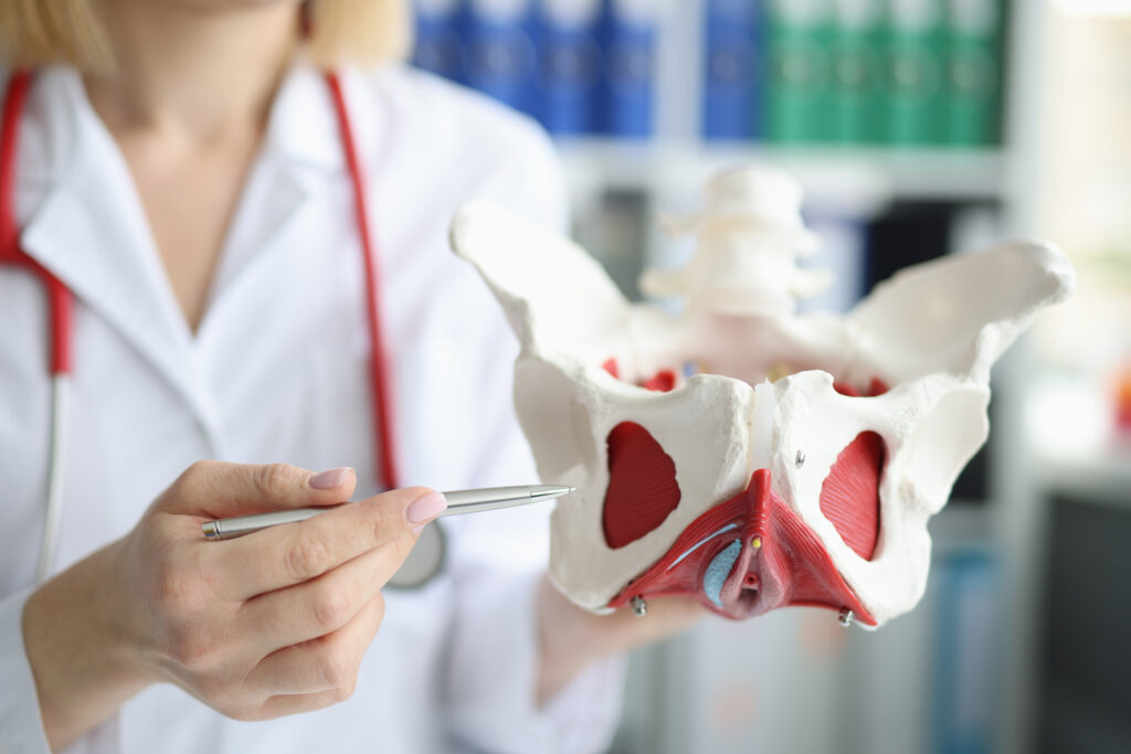 Photo of Pelvic Floor Therapy
